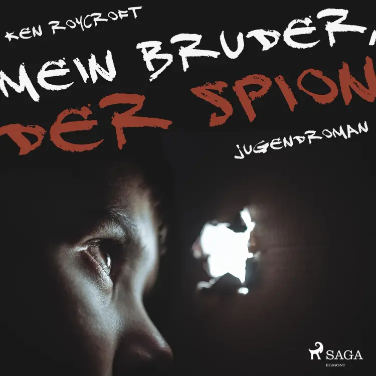 Mein Bruder, der Spion af Ken Roycroft