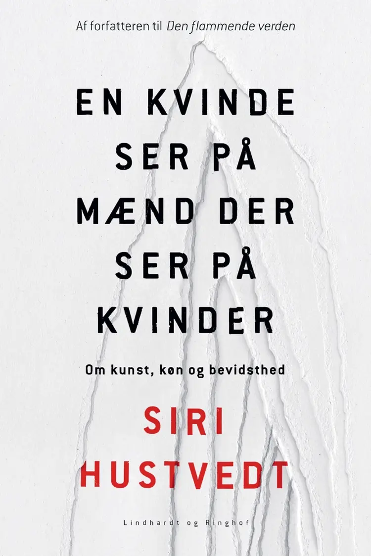 En kvinde ser på mænd der ser på kvinder af Siri Hustvedt