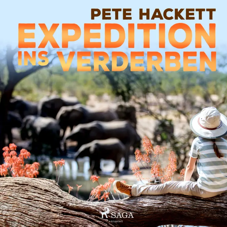 Expedition ins Verderben af Pete Hackett