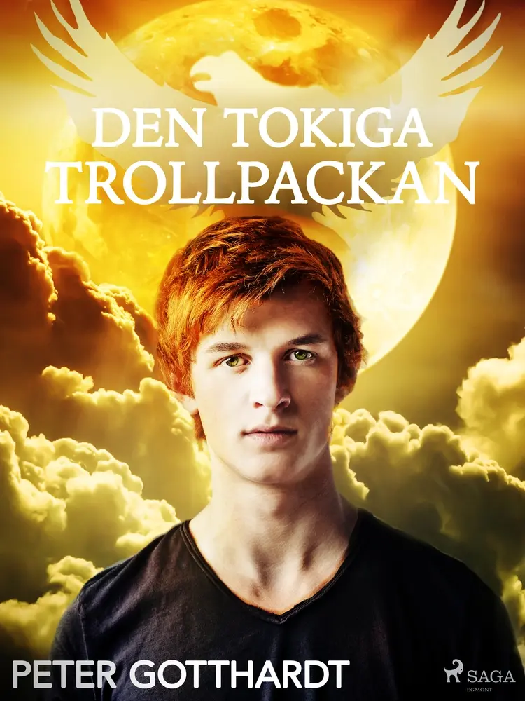 Den magiska falken 1: Den tokiga trollpackan af Peter Gotthardt