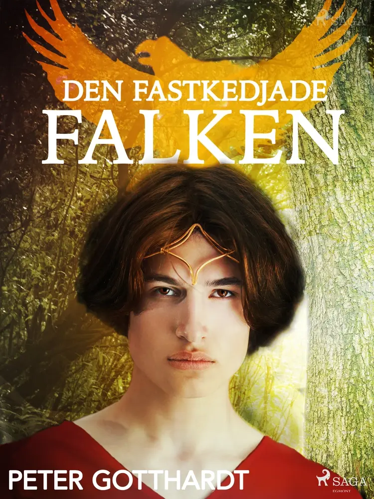 Den magiska falken 2: Den fastkedjade falken af Peter Gotthardt
