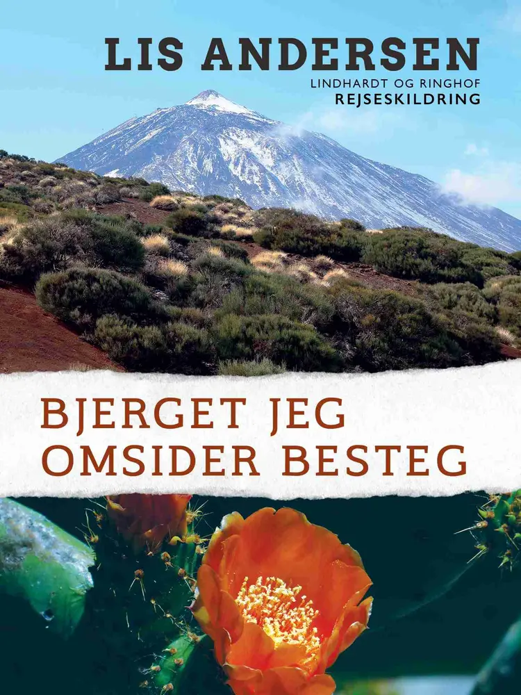 Bjerget jeg omsider besteg af Lis Andersen
