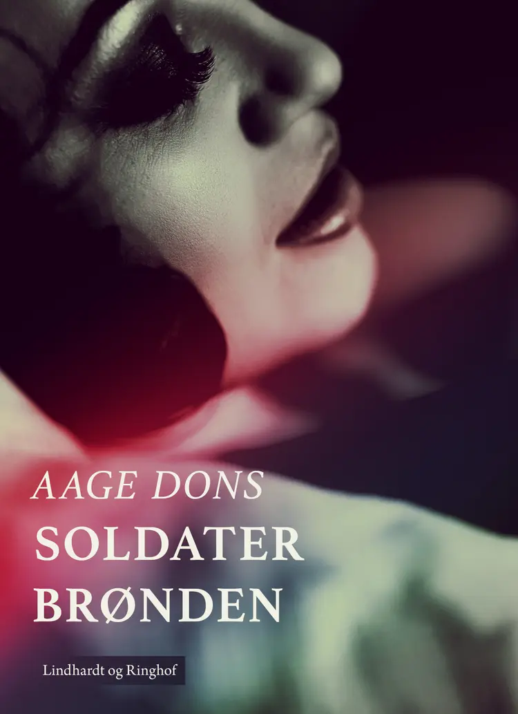 Soldaterbrønden af Aage Dons