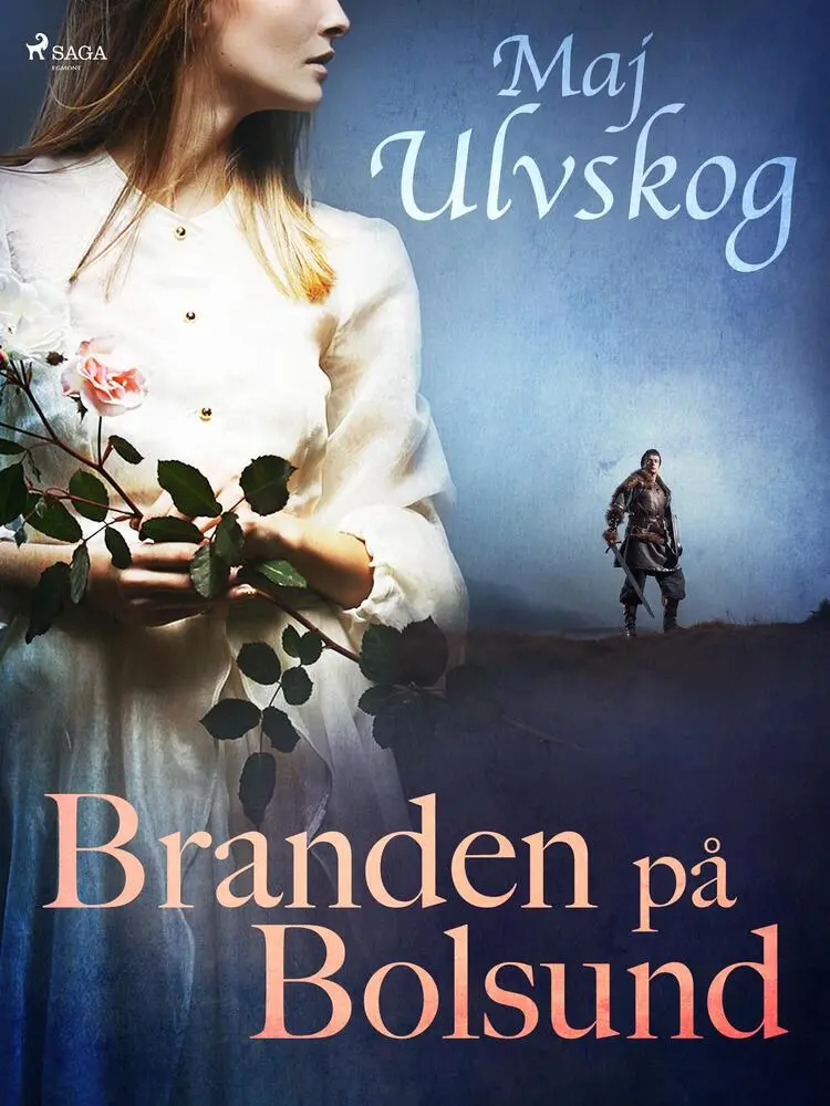 Branden på Bolsund af Maj Ulvskog