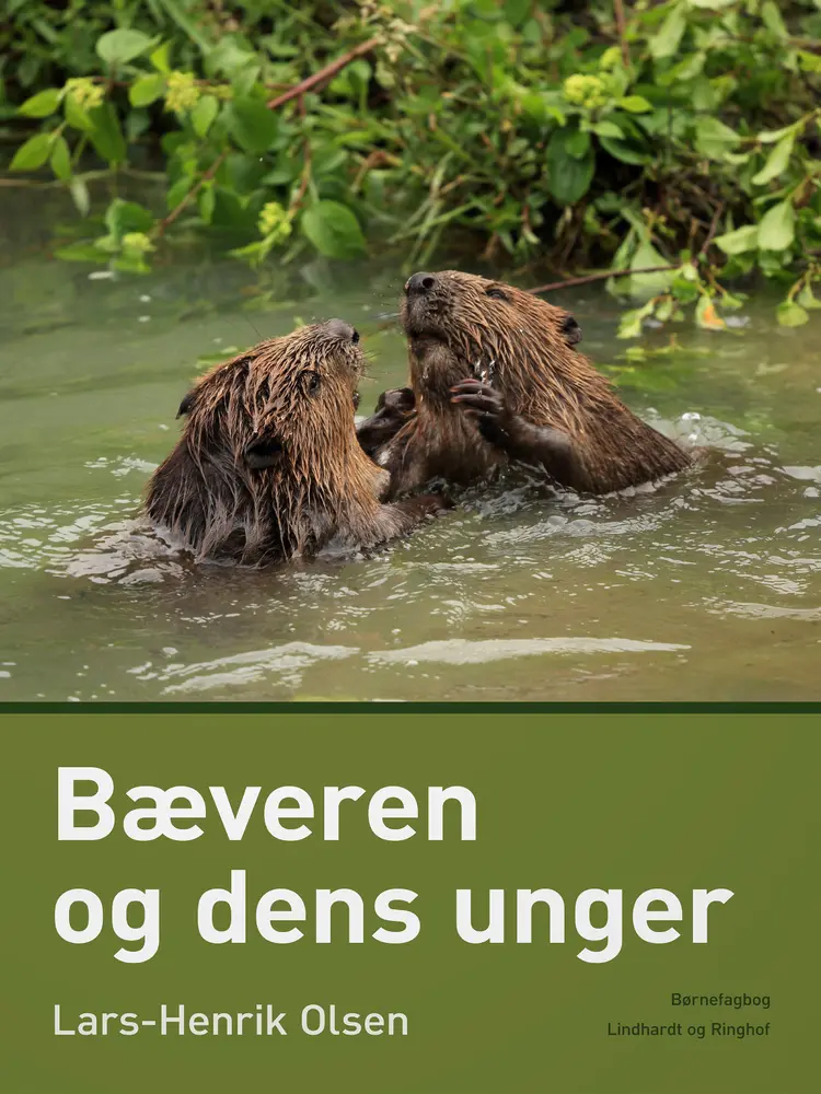 Bæveren og dens unger af Lars-Henrik Olsen