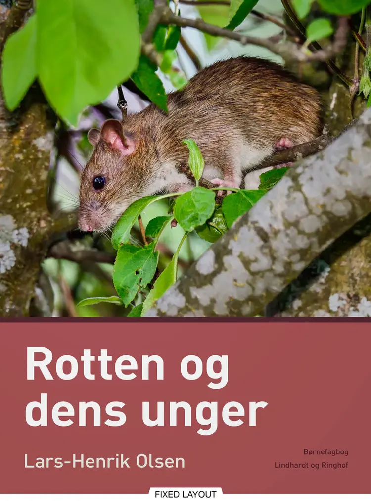 Rotten og dens unger af Lars-Henrik Olsen