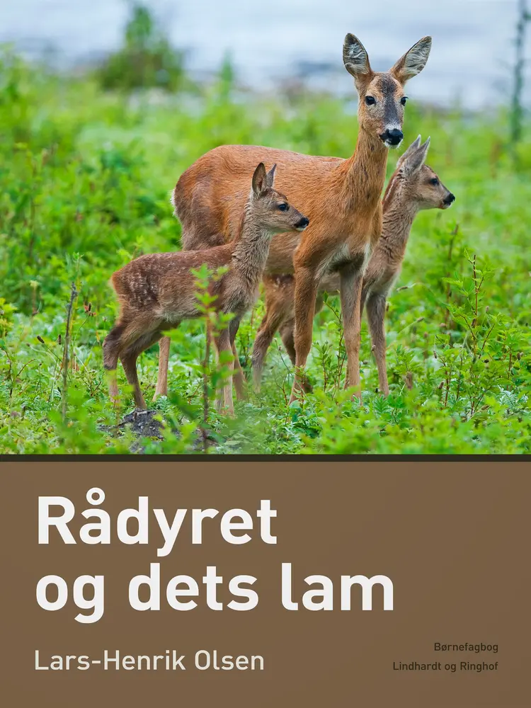 Rådyret og dets lam af Lars-Henrik Olsen