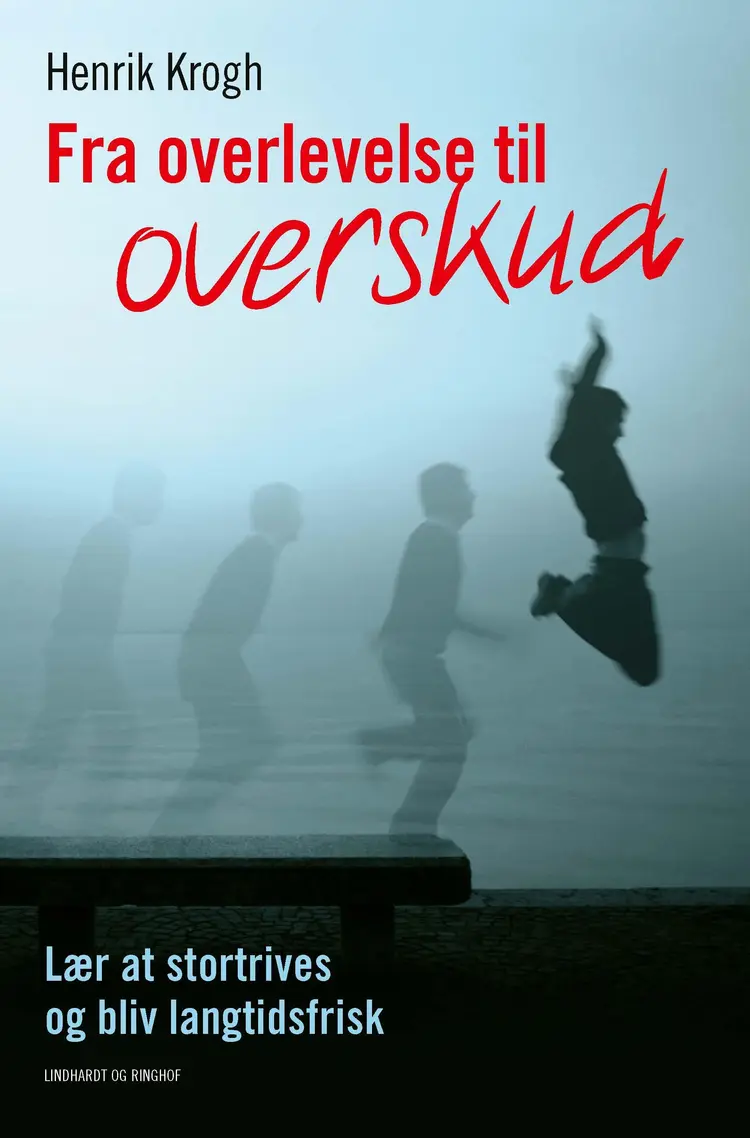 Fra overlevelse til overskud af Henrik Krogh