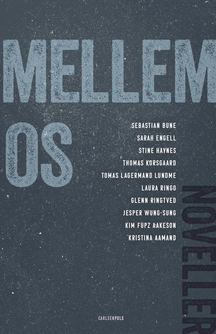 Mellem os af Stine Haynes