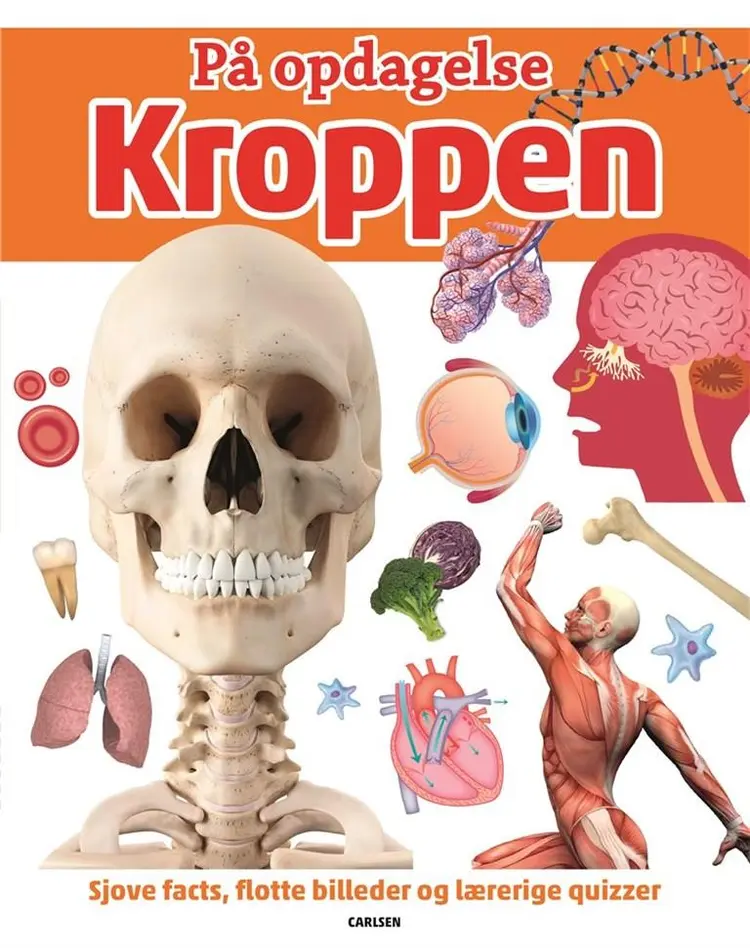 På opdagelse! - Kroppen af .