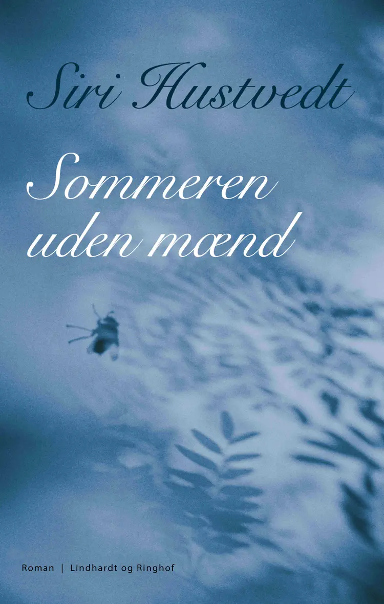 Sommeren uden mænd af Siri Hustvedt