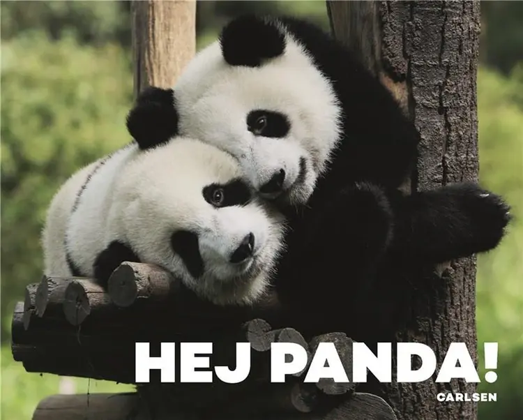 Hej panda! af .