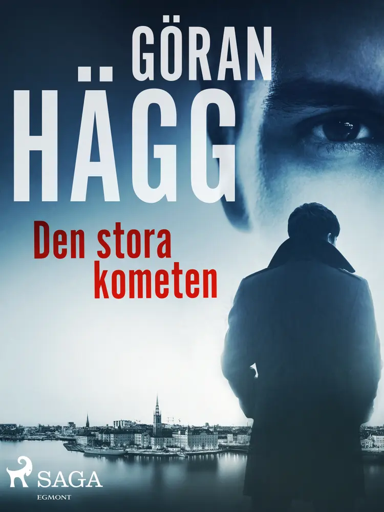 Den stora kometen af Göran Hägg