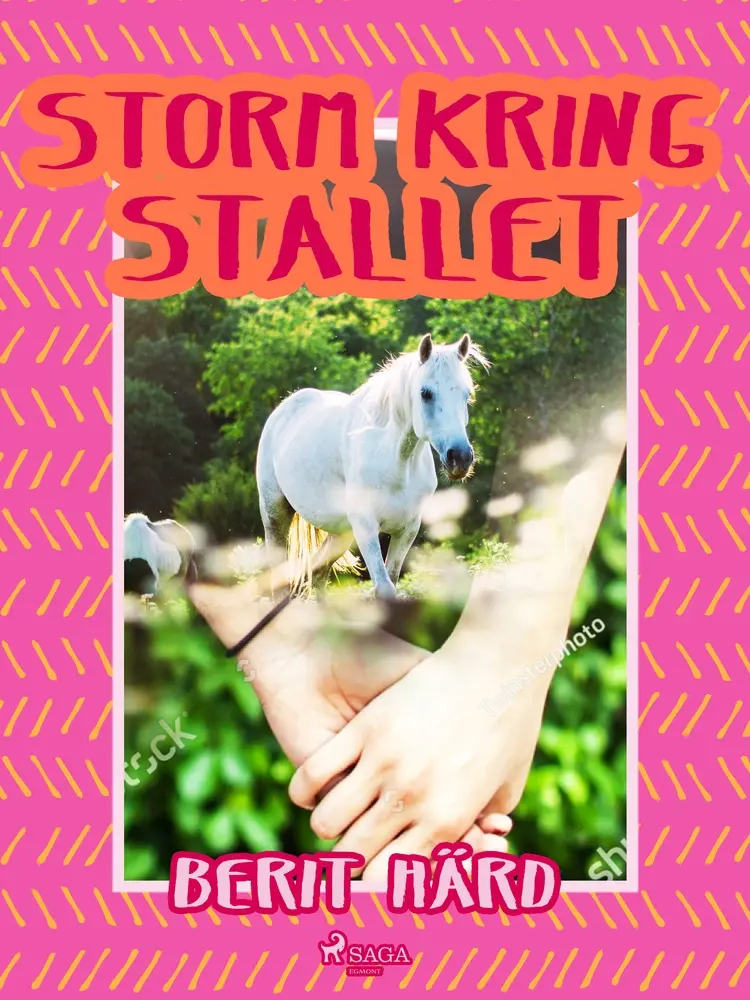 Storm kring stallet af Berit Härd