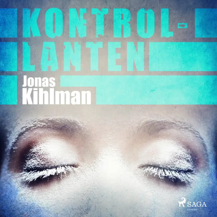 Kontrollanten af Jonas Kihlman
