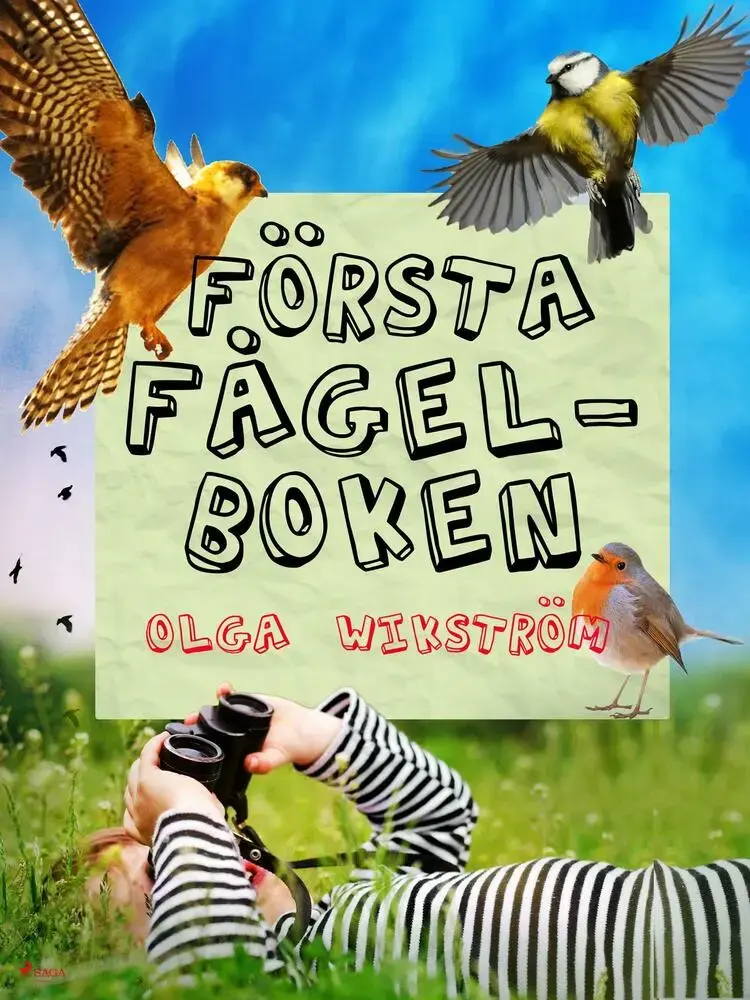 Första fågelboken af Olga Wikström