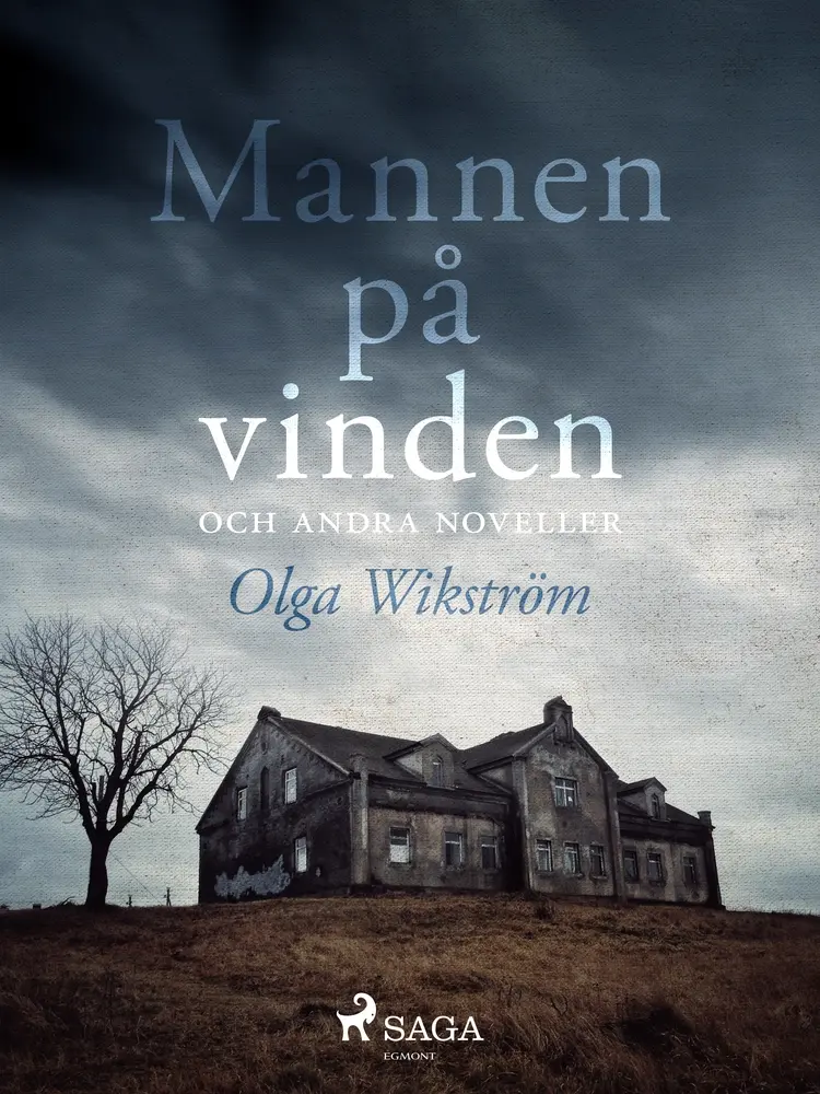 Mannen på vinden och andra noveller af Olga Wikström