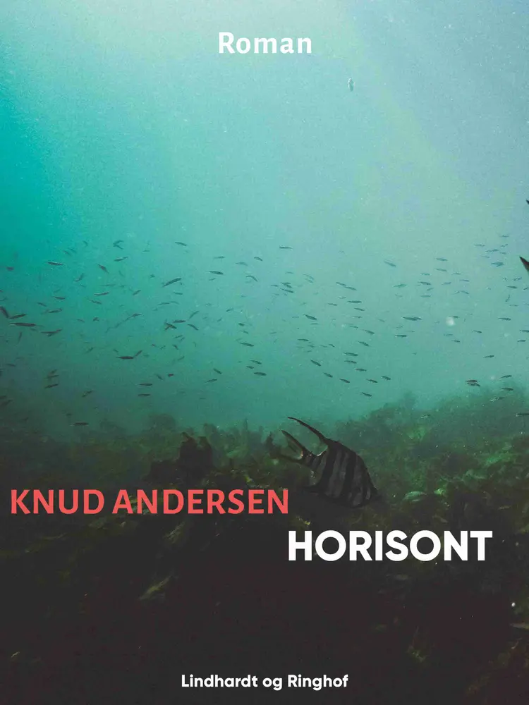 Horisont af Knud Andersen
