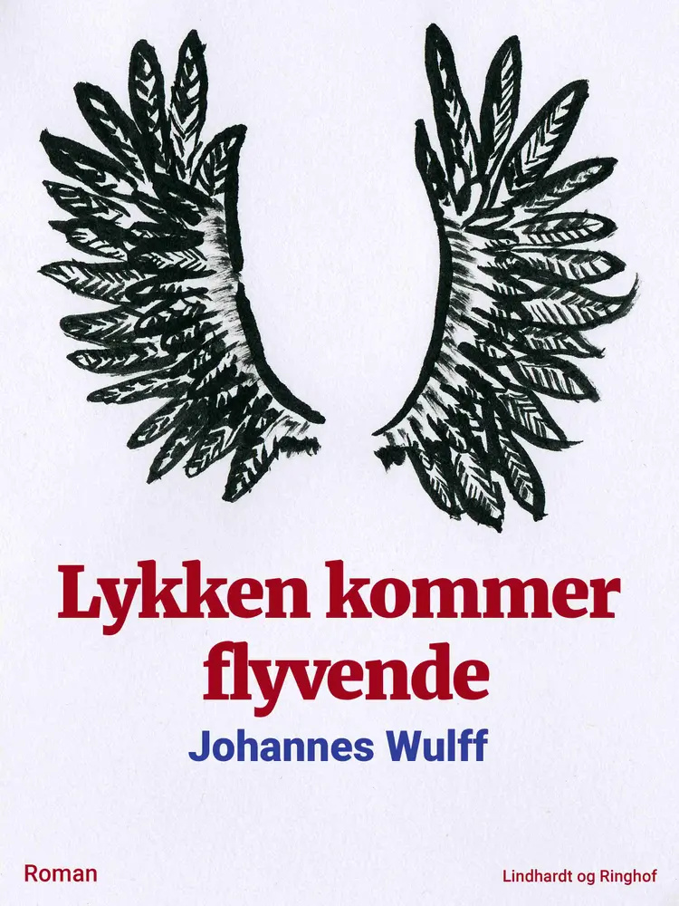 Lykken kommer flyvende af Johannes Wulff