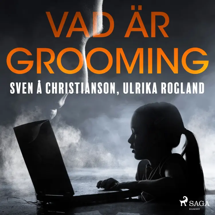 Vad är grooming af Ulrika Rogland
