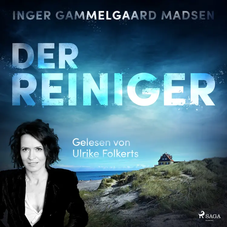 Der Reiniger af Inger Gammelgaard Madsen