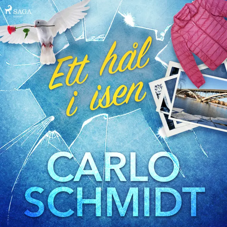 Ett hål i isen af Carlo Schmidt