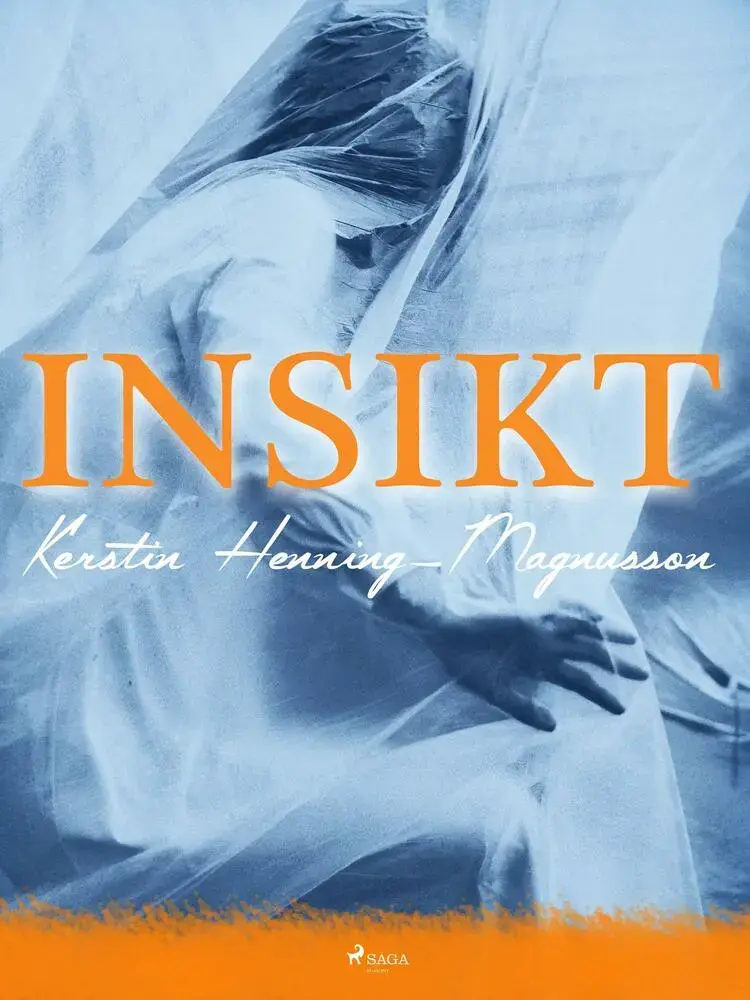 Insikt af Kerstin Henning Magnusson
