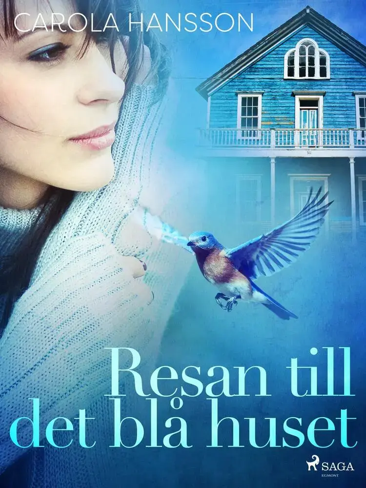 Resan till det blå huset af Carola Hansson