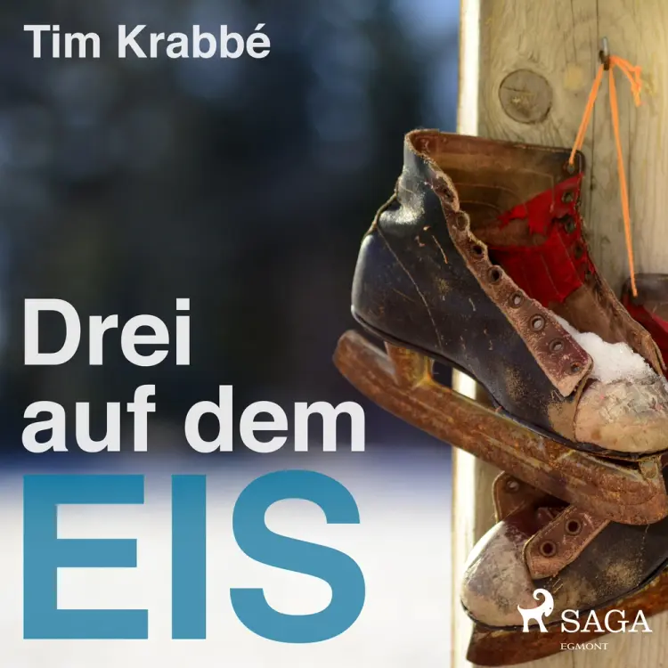 Drei auf dem Eis af Tim Krabbé