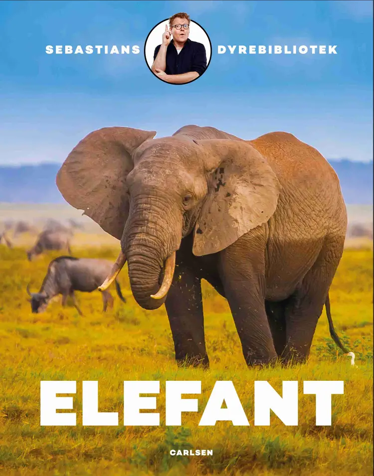 Sebastians dyrebibliotek: Elefant af Sebastian Klein