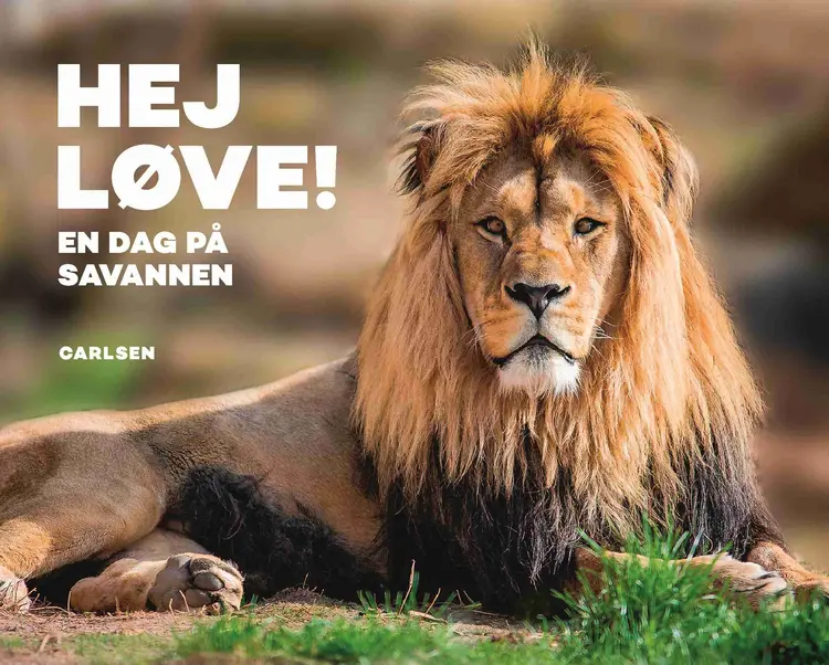 Hej, løve - En dag på savannen af .