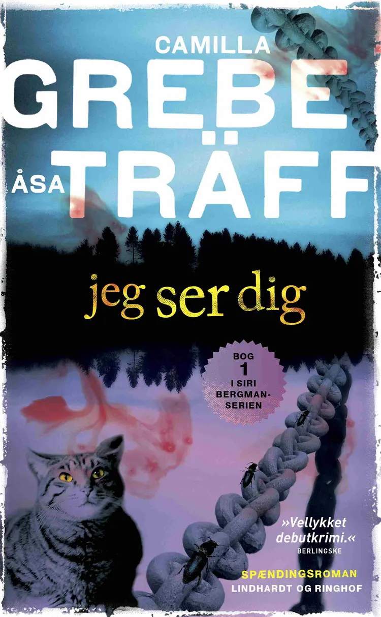 Jeg ser dig af Camilla Grebe