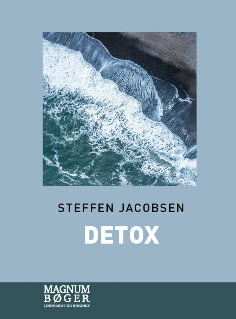 Detox af Steffen Jacobsen