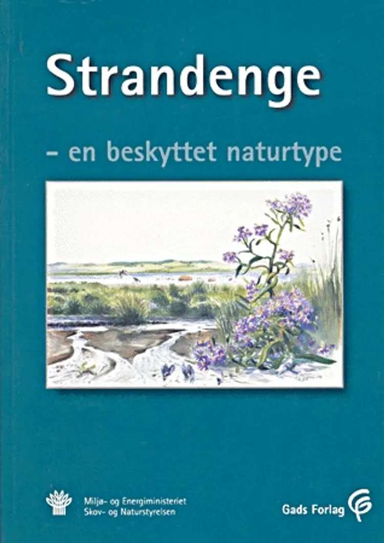 Strandenge af Peter Vestergaard