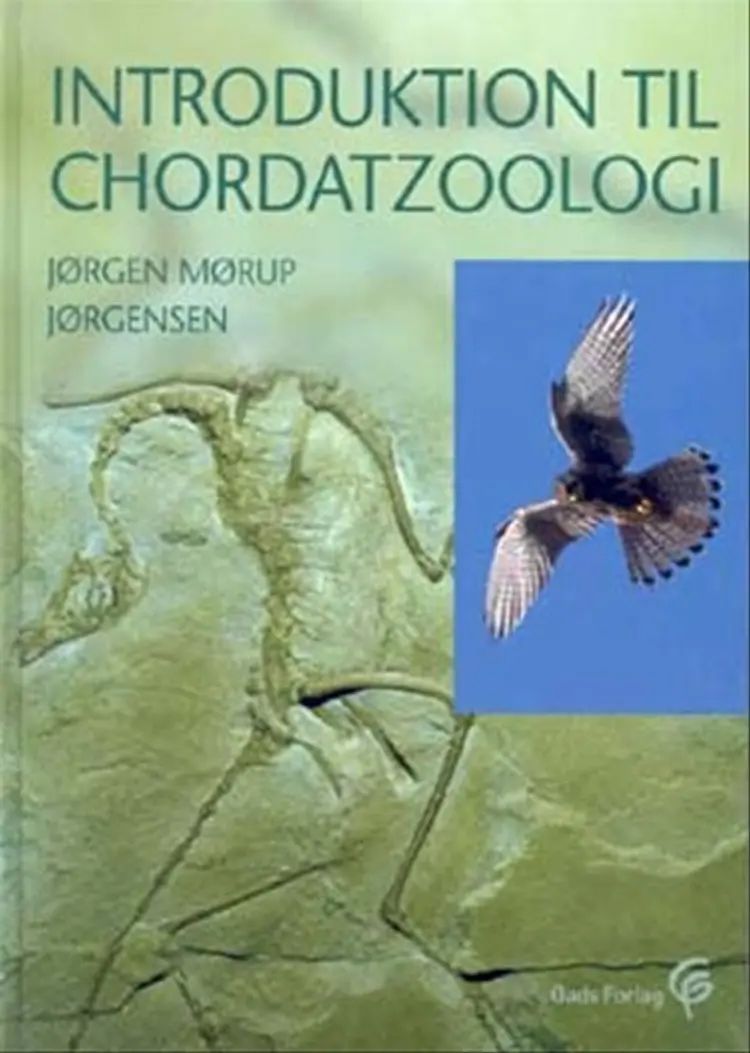 Introduktion til chordatzoologi af Jørgen Mørup Jørgensen