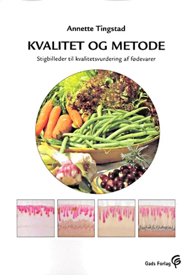Kvalitet og metode af Annette Tingstad