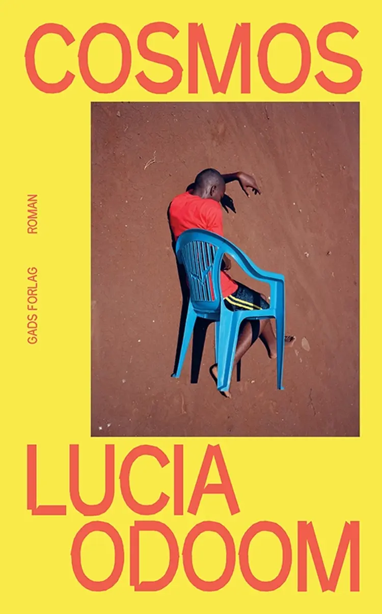 Cosmos af Lucia Odoom