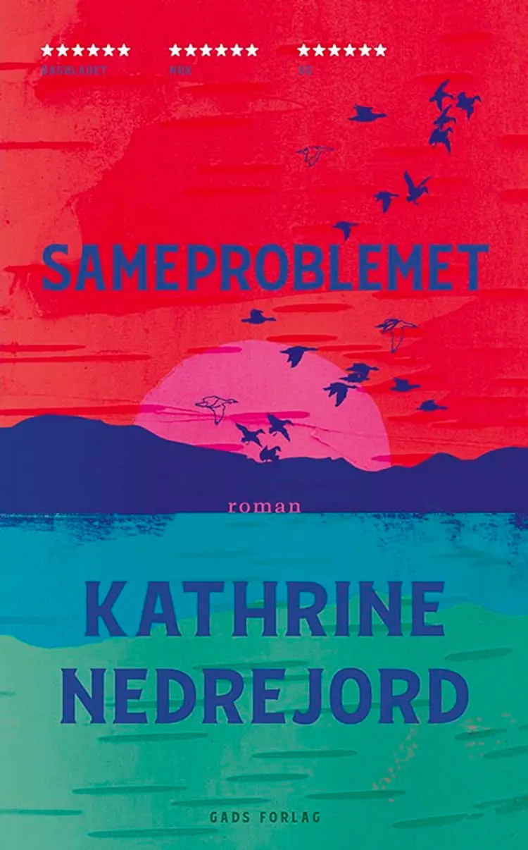 Sameproblemet af Kathrine Nedrejord