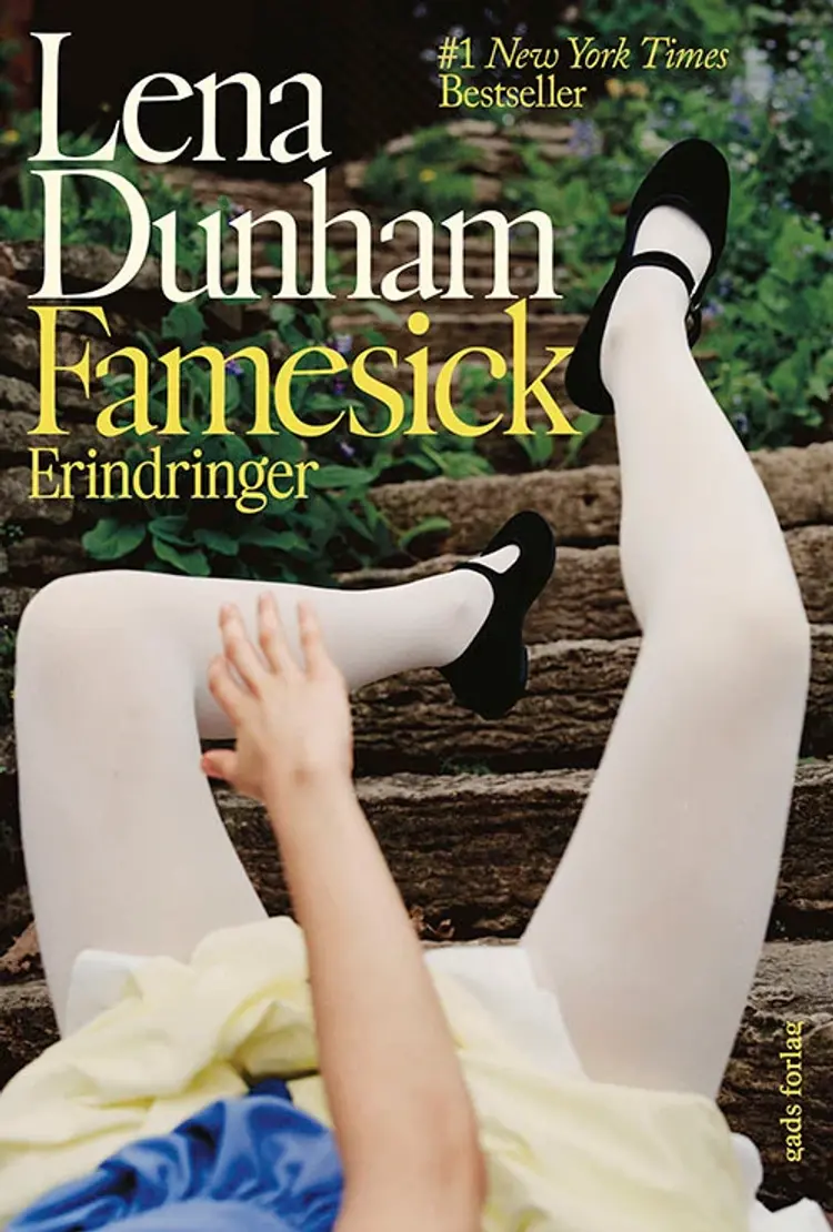 Famesick af Lena Dunham