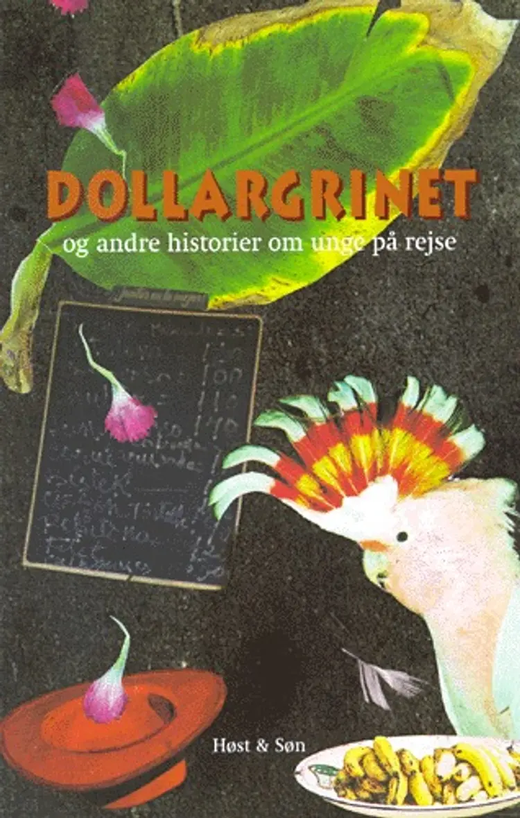 Dollargrinet og andre historier om unge på rejse af Nanna Gyldenkærne