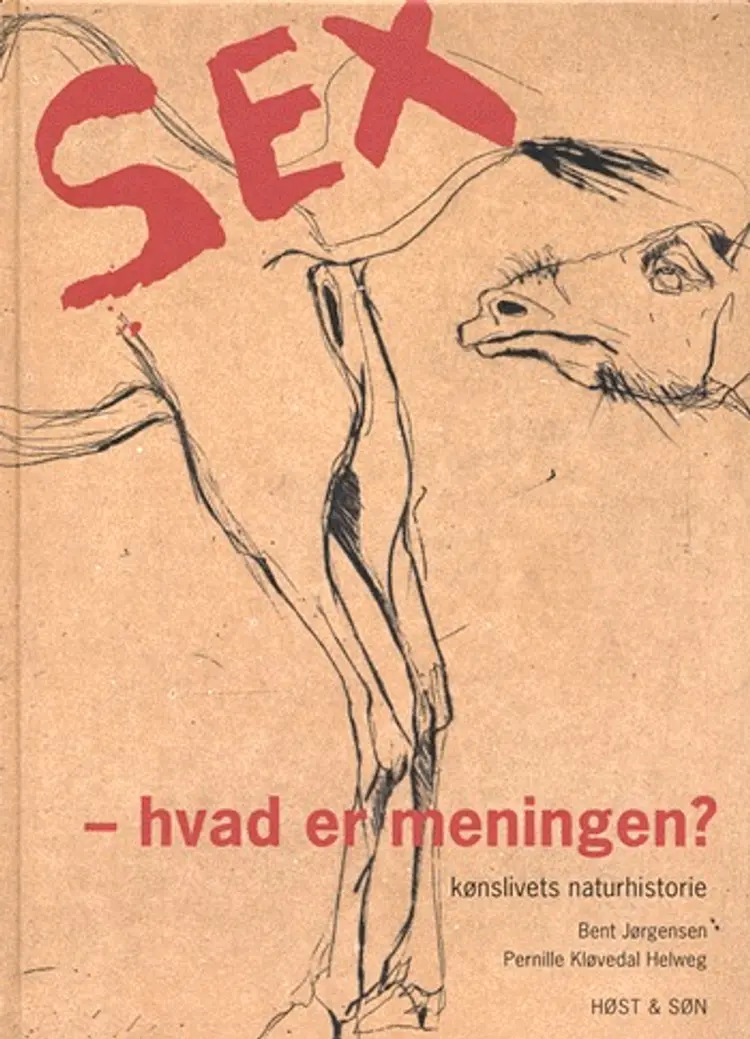Sex - hvad er meningen? af Bent Jørgensen