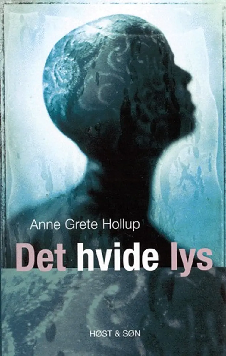 Det hvide lys af Anne Grete Hollup