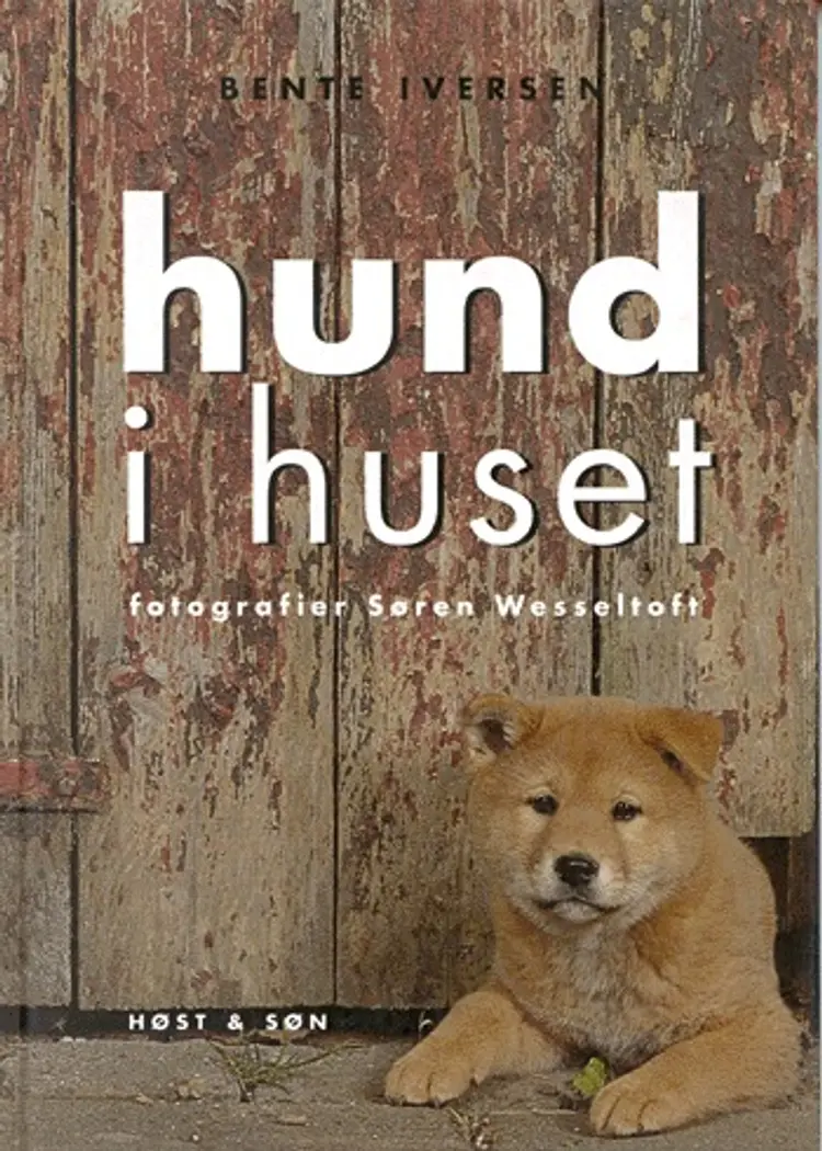 Hund i huset af Bente Iversen