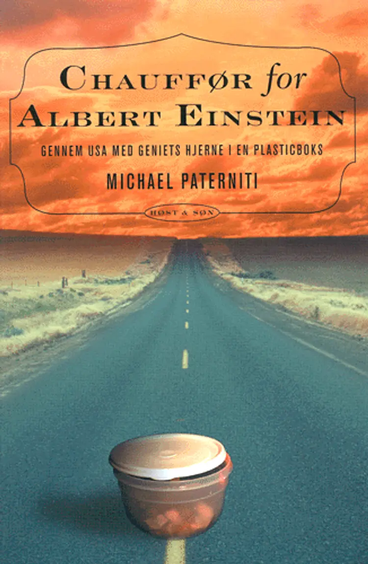 Chauffør for Albert Einstein af Michael Paterniti