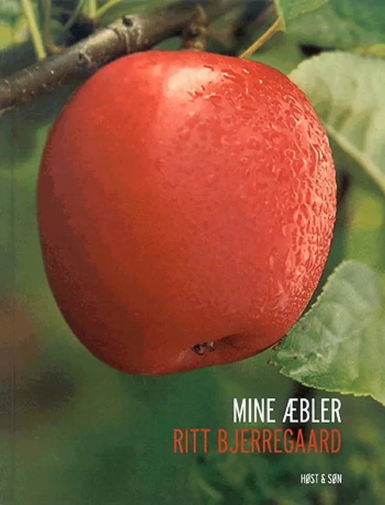 Mine æbler af Ritt Bjerregaard
