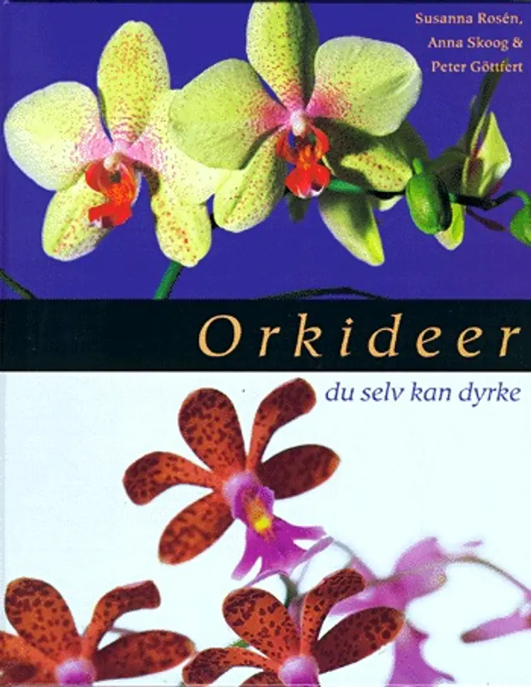 Orkideer du selv kan dyrke af Susanna Rosén