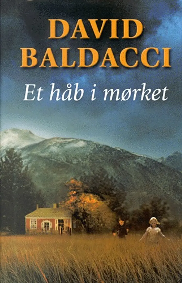 Et håb i mørket af David Baldacci