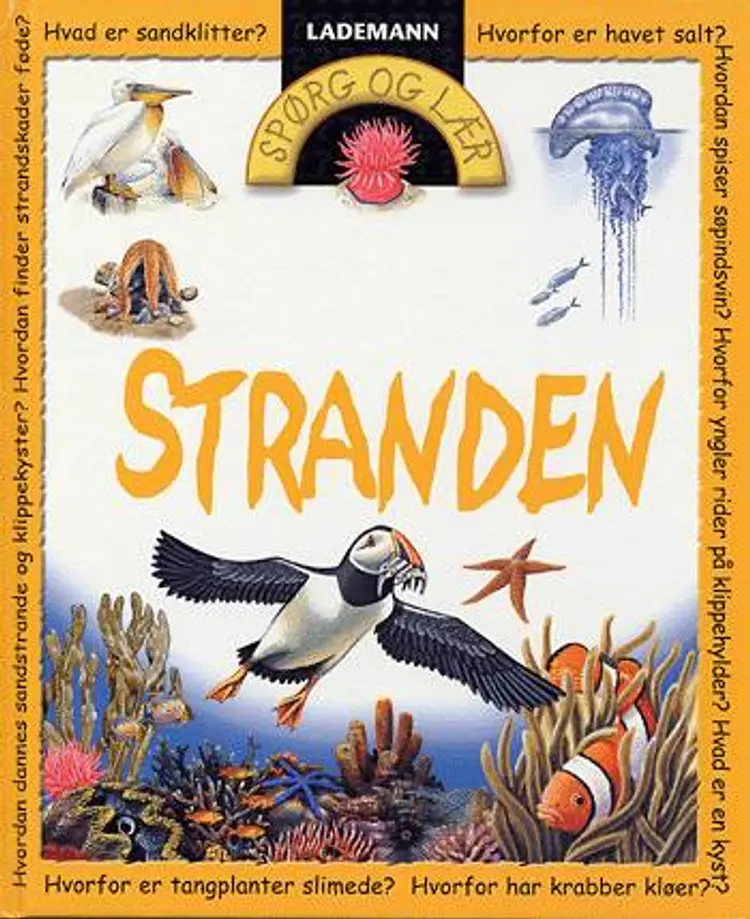 Stranden af Angela Wilkes