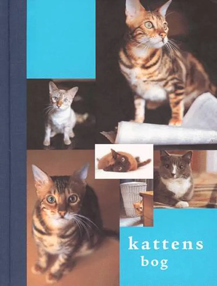 Kattens bog af Sophie Bevan
