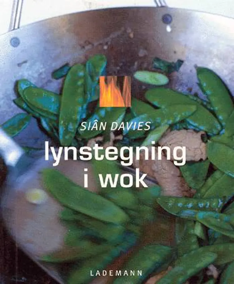 Lynstegning i wok af Siân Davies